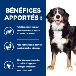 Hill's Prescription Diet Canine J/D Metabolic + Mobility 12 Kg -Animalerie 52742000633 4 prescription diet chien metabolic mobility croquettes poulet 1