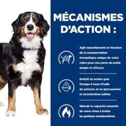 Hill's Prescription Diet Canine J/D Metabolic + Mobility 12 Kg -Animalerie 52742000633 5 prescription diet chien metabolic mobility croquettes poulet 1