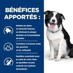Hill's Prescription Diet Canine T/D 10 Kg -Animalerie 52742402703 4 prescription diet chien t d croquettes poulet 1