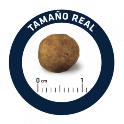 Advance Veterinary Diets Chien Gastroenteric 12 Kg -Animalerie advance veterinary diet chien gastroenteric low fat 12 kg