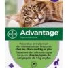 Advantage 80 Chat Et Lapin + De 4 Kg Pipettes X4 -Animalerie advantage 80 chat et lapin de plus de 4 kg 4 pipettes