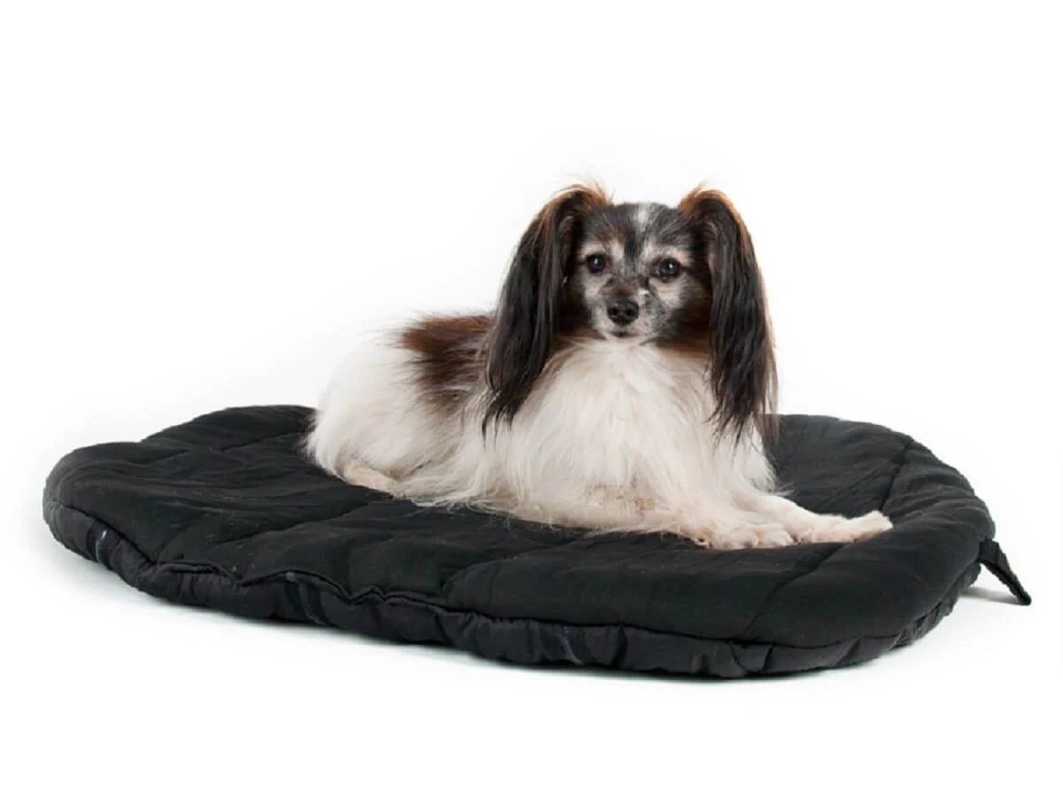 Back On Track Matelas De Voyage Pour Chien 80 X 100 Cm 3 Back On Track Matelas De Voyage Pour Chien 80 X 100 Cm