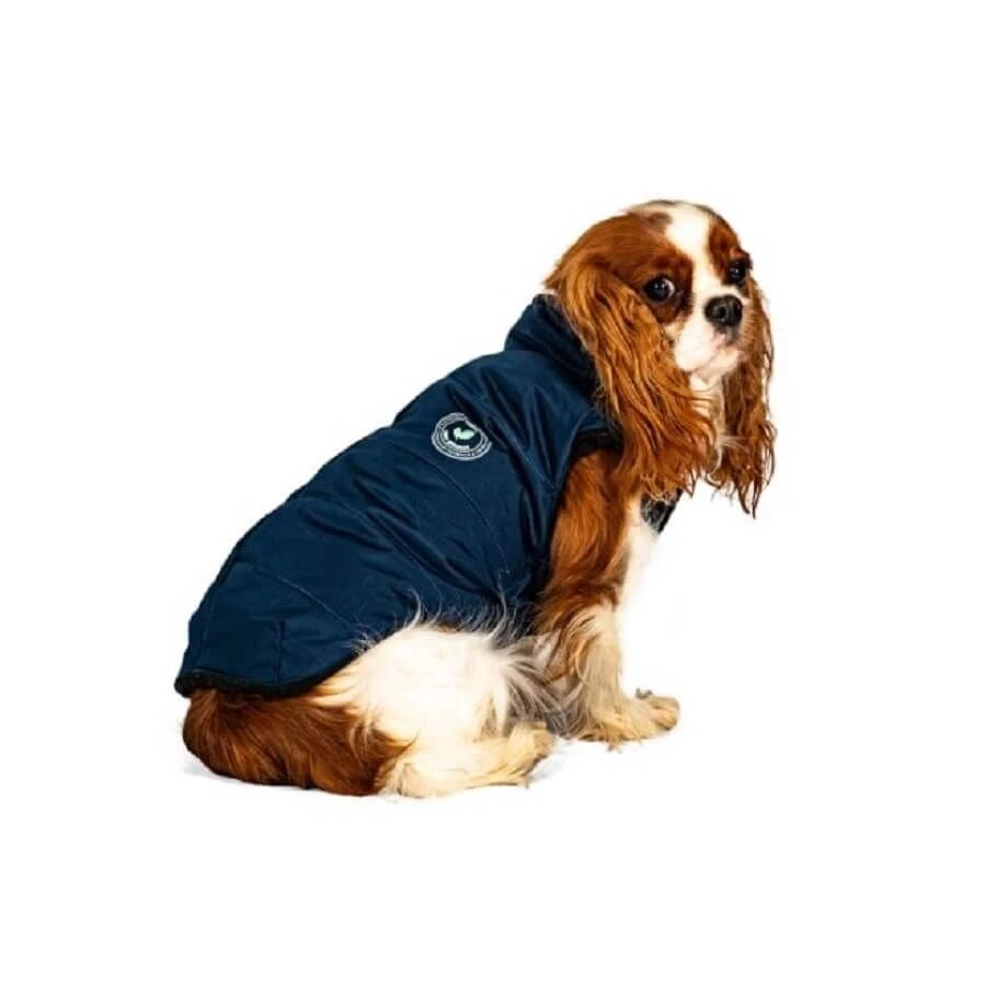 Bobby Manteau Green Chien Bleu Marine 38 Cm - Destockage 3 Bobby Manteau Green Chien Bleu Marine 38 Cm - Destockage