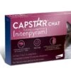 Capstar 11.4 Mg Chat -Animalerie capstarchat 1 2