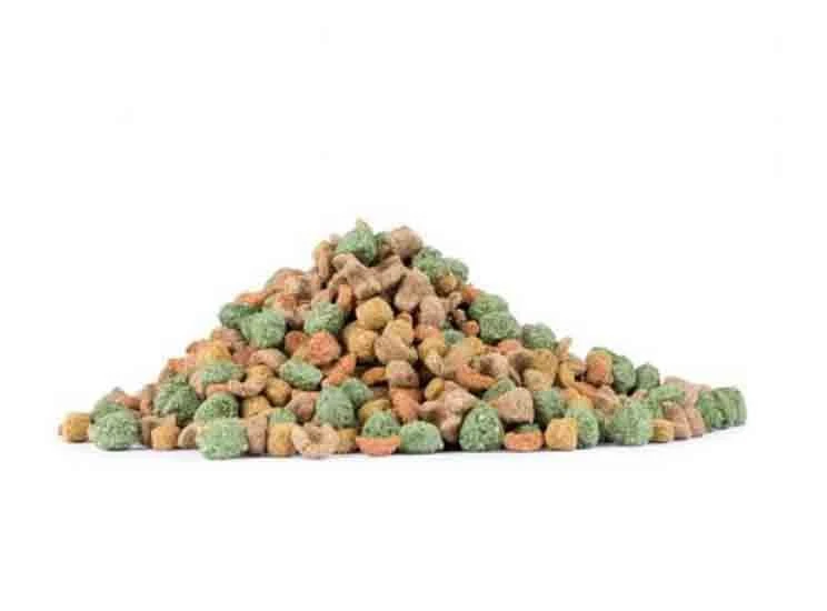 Care+ Cochon D'Inde 250 G 4 Care+ Cochon D'Inde 250 G – Image 2