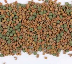 Care+ Cochon D'Inde 250 G 7 Care+ Cochon D'Inde 250 G -Animalerie care cochon d inde 250 g3