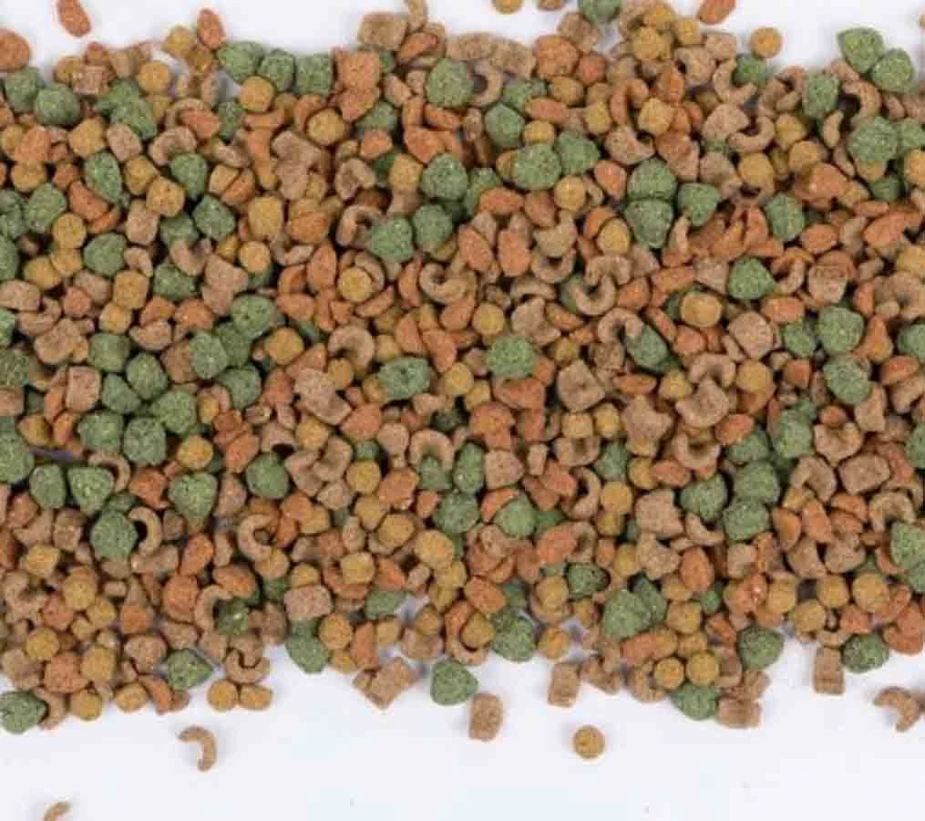 Care+ Cochon D'Inde 250 G 5 Care+ Cochon D'Inde 250 G – Image 3