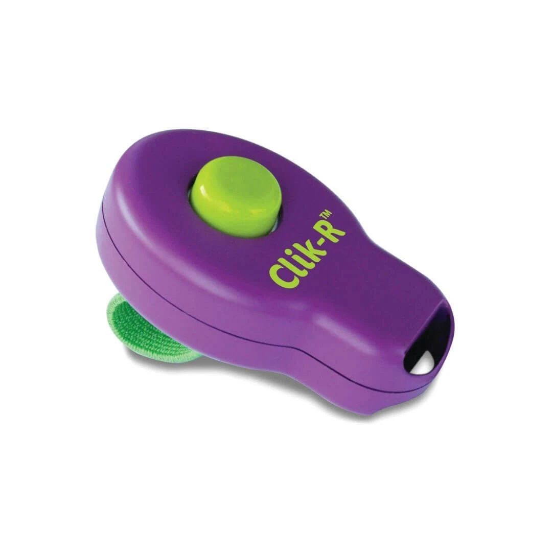 Clik'R Pet Safe Clicker De Dressage Chien