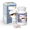 Cosequin HA 120 Cp -Animalerie cosequin chien ha 40 cps arthrose 1
