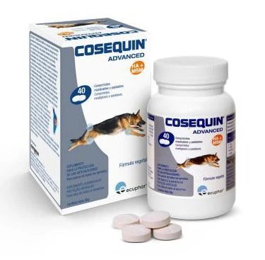 Cosequin HA 120 Cp 3 Cosequin HA 120 Cp