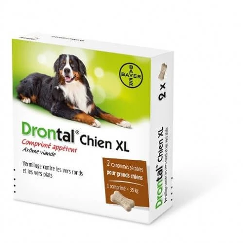 Drontal P XL Vermifuge Chien Gout Viande 2 Cps 3 Drontal P XL Vermifuge Chien Gout Viande 2 Cps