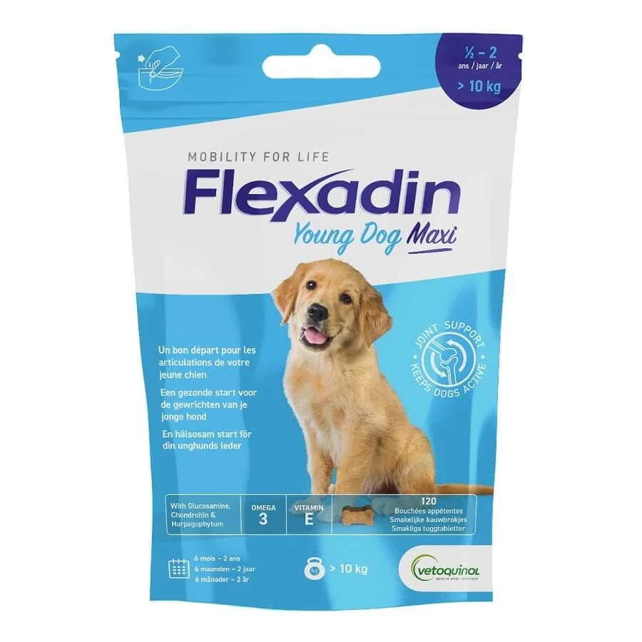 Flexadin Young Dog Maxi 120 Bouchées 3 Flexadin Young Dog Maxi 120 Bouchées