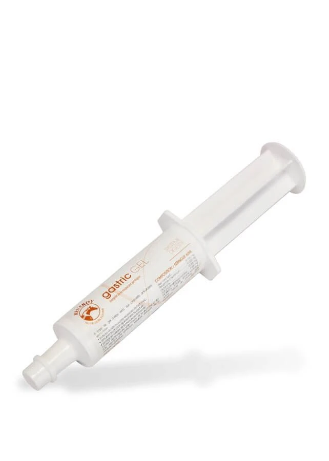 Reverdy Gastric Gel 3 X 60 Ml 3 Reverdy Gastric Gel 3 X 60 Ml