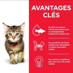 Hill's Science Plan Hill's Science Plan Feline Kitten Poulet 1,5 Kg -Animalerie hill s science plan kitten healthy development poulet 1 5 kg2