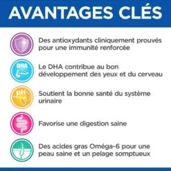 Hill's Science Plan VetEssentials Feline Kitten Growth Poulet 2,5 Kg -Animalerie hill s vet essentials kitten growth poulet 3 1