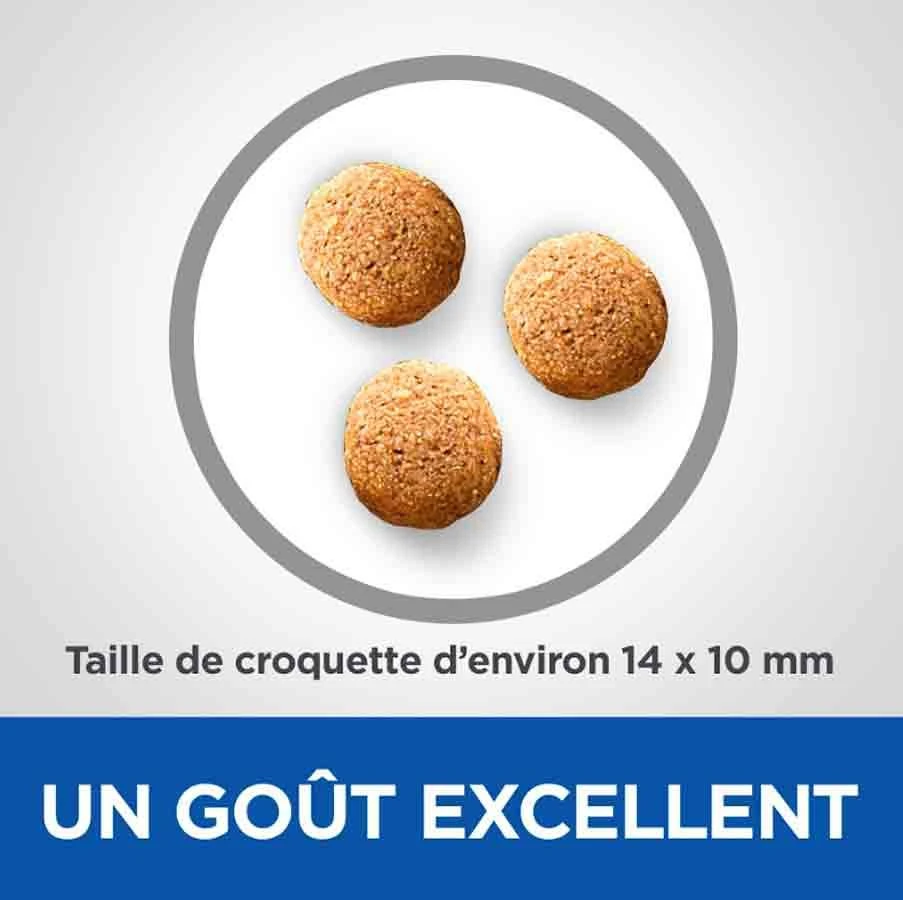 Hill's Science Plan VetEssentials Canine Adult Mini Dental Health 2 Kg 5 Hill's Science Plan VetEssentials Canine Adult Mini Dental Health 2 Kg – Image 3