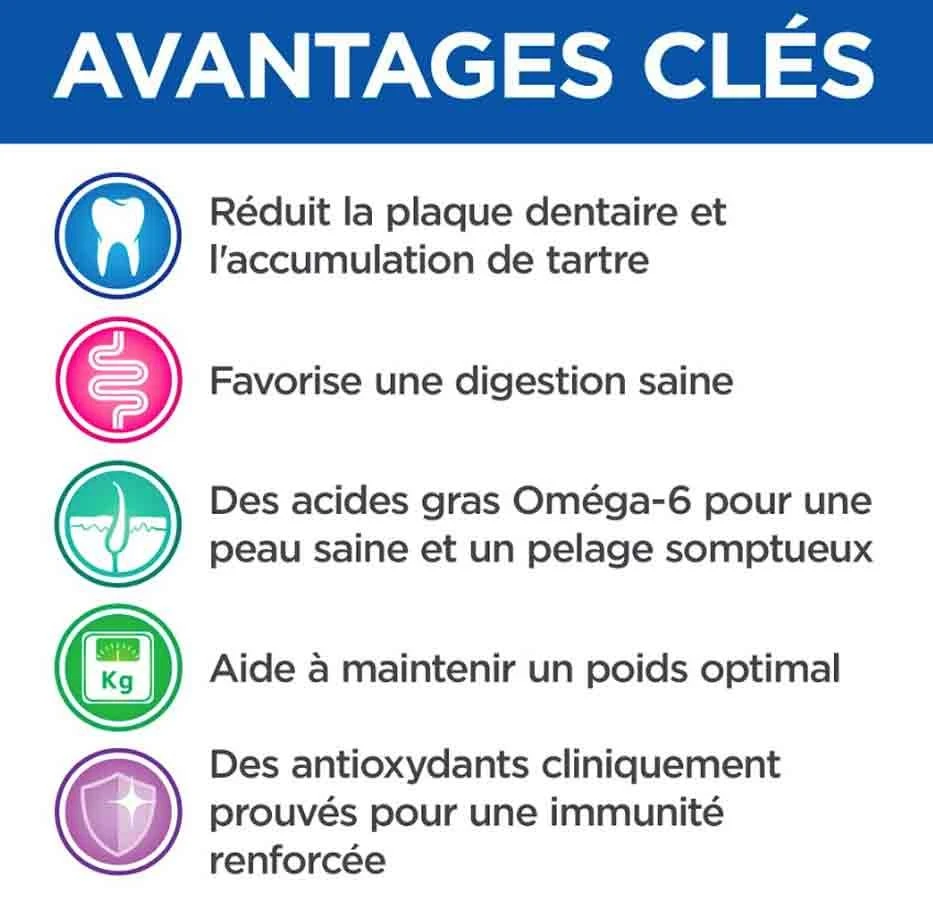 Hill's Science Plan VetEssentials Canine Adult Mini Dental Health 2 Kg 6 Hill's Science Plan VetEssentials Canine Adult Mini Dental Health 2 Kg – Image 4