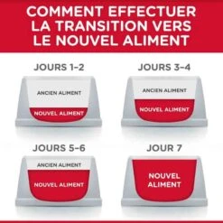 Hill's Science Plan Hill's Science Plan Chat Young Adult Sterilisé Thon 10 Kg -Animalerie hill s science plan feline young adult sterilised cat thon 10 kg5
