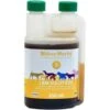 Hilton Herbs LBM Solution Chien 500 Ml 1 Hilton Herbs LBM Solution Chien 500 Ml -Animalerie hilton herbs lbm solution chien la compagnie des animaux