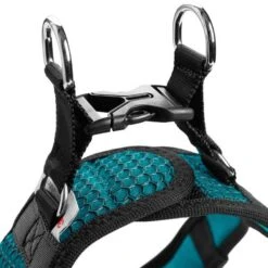 Hunter Harnais Hilo Comfort Pour Chien Turquoise XS-S -Animalerie hunter harnais hilo comfort pour chien turquoise la compagnie des animaux 2 1 1 1