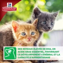 Hill's Science Plan Hill's Science Plan Feline Kitten Poulet 1,5 Kg -Animalerie kitten healthy development2 2 2