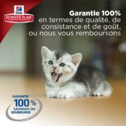 Hill's Science Plan Hill's Science Plan Feline Kitten Poulet 1,5 Kg -Animalerie kitten healthy development 6 2