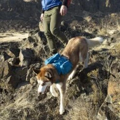 Kurgo Harnais RSG County Bleu Azur Pour Chien S -Animalerie kurgo harnais rsg county bleu azur pour chien3