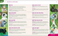 Livre - Lapins Nains -Animalerie lapins nains3