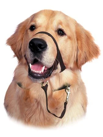 Licol De Dressage Halti Noir T.3 3 Licol De Dressage Halti Noir T.3