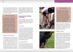 Livre - La Bible Des Soins Naturels Pour Le Cheval, Le Poney Et L'âne 7 Livre - La Bible Des Soins Naturels Pour Le Cheval, Le Poney Et L'âne -Animalerie livre la bible des soins naturels pour le cheval le poney et l a ne3
