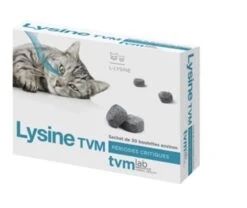 Lysine TVM