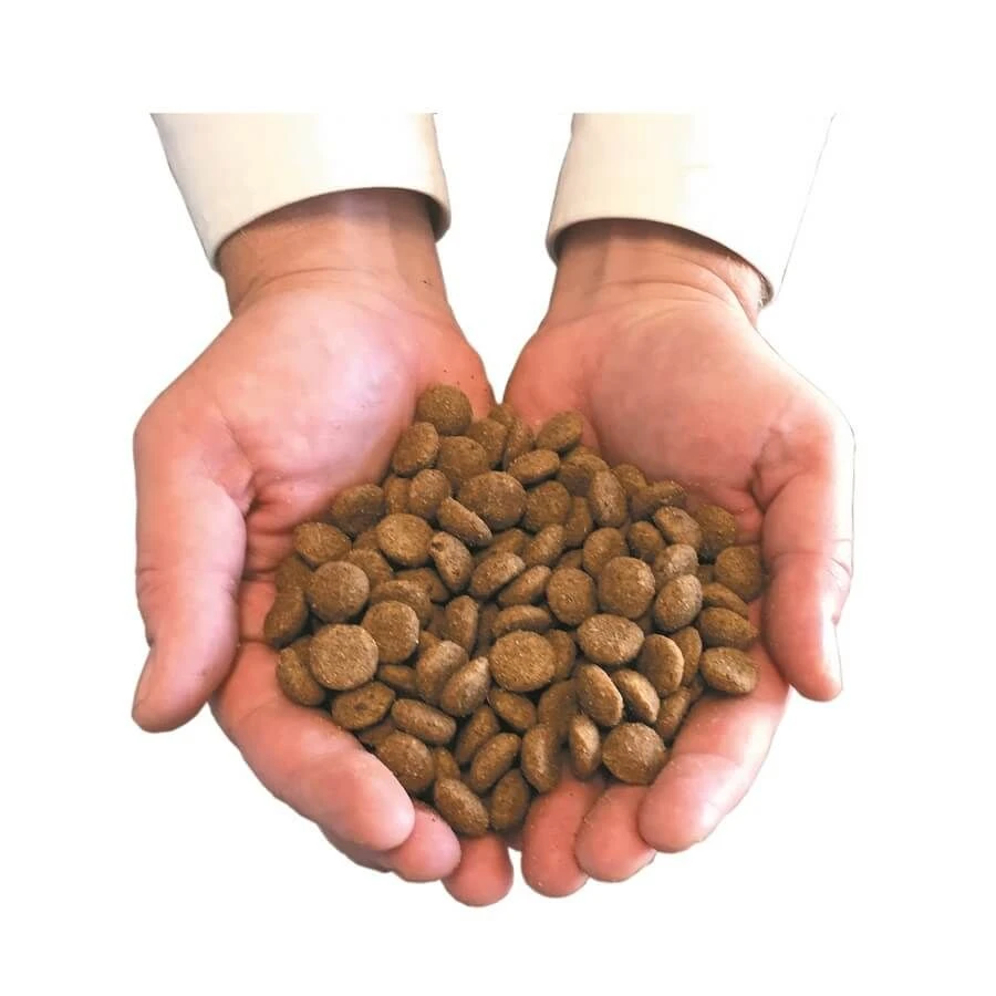 Felichef Croquettes BIO Sans Céréales, Sans Gluten Chat Stérilisé 2 Kg 5 Felichef Croquettes BIO Sans Céréales, Sans Gluten Chat Stérilisé 2 Kg – Image 3