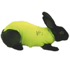 Medical Pet Shirt Gilet Protecteur Lapin XXXS