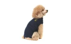 Medical Pet Shirt Chien S