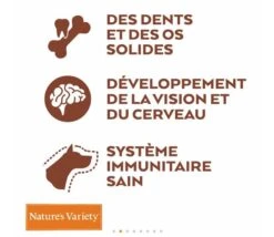 Nature's Variety Nature's Variety Croquettes Original No Grain Puppy/Junior Saumon 10 Kg 5 Nature's Variety Nature's Variety Croquettes Original No Grain Puppy/Junior Saumon 10 Kg -Animalerie naturesvarietyselectedjuniorpoulet10kg2 1 1 1 1