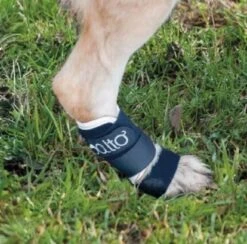 Orthese Balto Carpe Et Tarse S 7 Orthese Balto Carpe Et Tarse S -Animalerie orthese balto carpe et tarse3 1 1