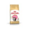 Royal Canin Persian Kitten 4 Kg 1 Royal Canin Persian Kitten 4 Kg -Animalerie pers kit pack 1