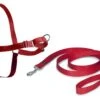 Easy Walk Harnais S Rouge 1 Easy Walk Harnais S Rouge -Animalerie petsafe harnais easywalk pour chien 1