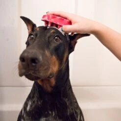 KONG Brosse Zoom Groom Bleue Pour Chien 10 KONG Brosse Zoom Groom Bleue Pour Chien -Animalerie picture2