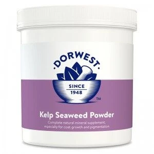 Dorwest Poudre De Varech 500 G 3 Dorwest Poudre De Varech 500 G