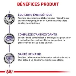 Royal Canin Vet Chat Adult 8 Kg 14 Royal Canin Vet Chat Adult 8 Kg -Animalerie royal canin vet chat adult 8 kg 4