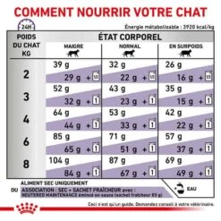 Royal Canin Vet Chat Adult 8 Kg 16 Royal Canin Vet Chat Adult 8 Kg -Animalerie royal canin vet chat adult 8 kg 6