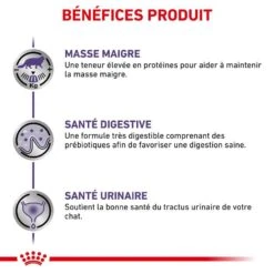 Royal Canin Veterinary Chat Neutered Maintenance 12 X 85 G -Animalerie royal canin veterinary chat neutered maintenance 12 x 85 g 3