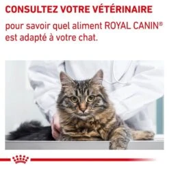 Royal Canin Veterinary Chat Neutered Maintenance 12 X 85 G -Animalerie royal canin veterinary chat neutered maintenance 12 x 85 g 7