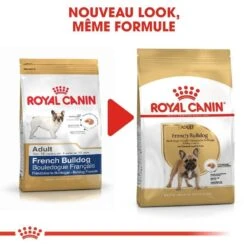 Royal Canin Bouledogue Français Adult 3 Kg 12 Royal Canin Bouledogue Français Adult 3 Kg -Animalerie royal canin bouledogue fran ais adult