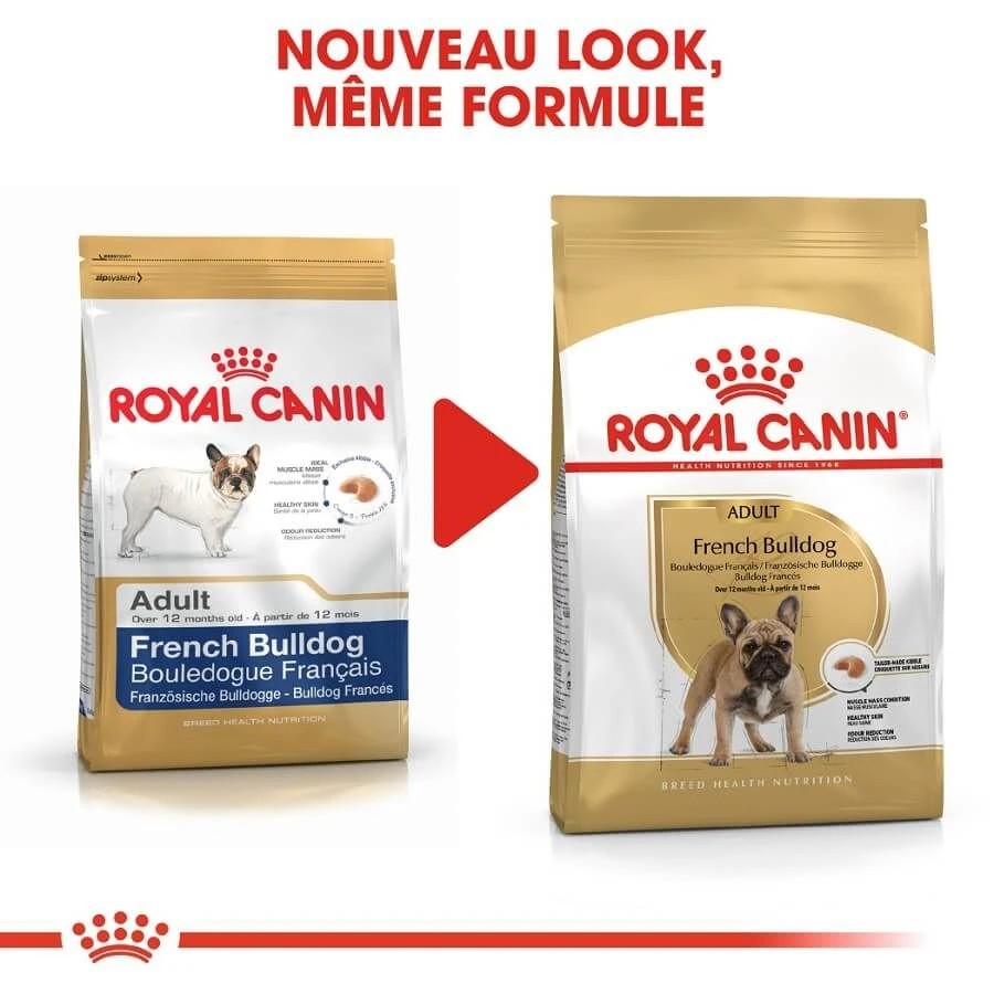 Royal Canin Bouledogue Français Adult 3 Kg 5 Royal Canin Bouledogue Français Adult 3 Kg – Image 3