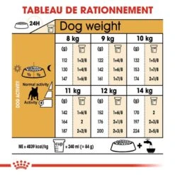 Royal Canin Bouledogue Français Adult 3 Kg 16 Royal Canin Bouledogue Français Adult 3 Kg -Animalerie royal canin bouledogue fran ais adult 3 kg rationnement