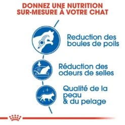 Royal Canin Féline Health Nutrition Indoor Long Hair 2 Kg -Animalerie royal canin f line health nutrition indoor long hair 2 2