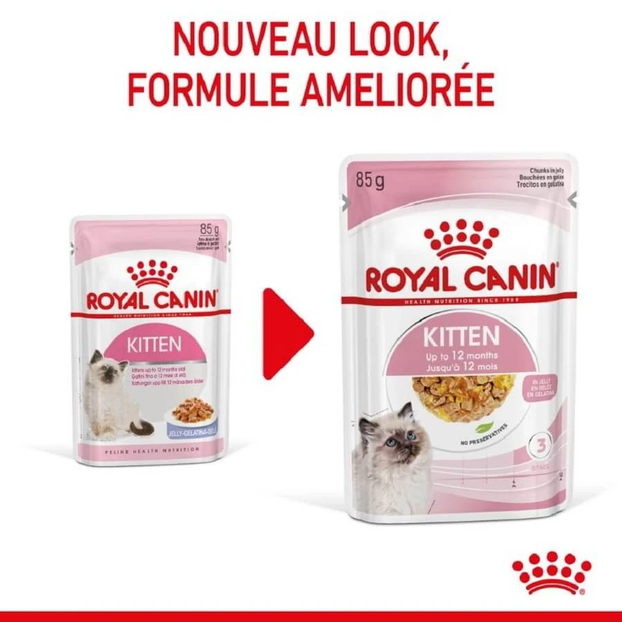Royal Canin Kitten Sachet En Gelée 12 X 85 G – Image 2