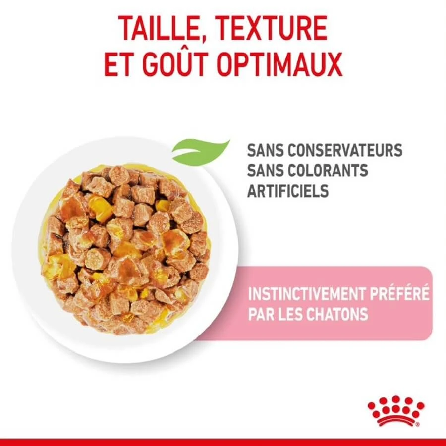 Royal Canin Kitten Sachet En Gelée 12 X 85 G – Image 5